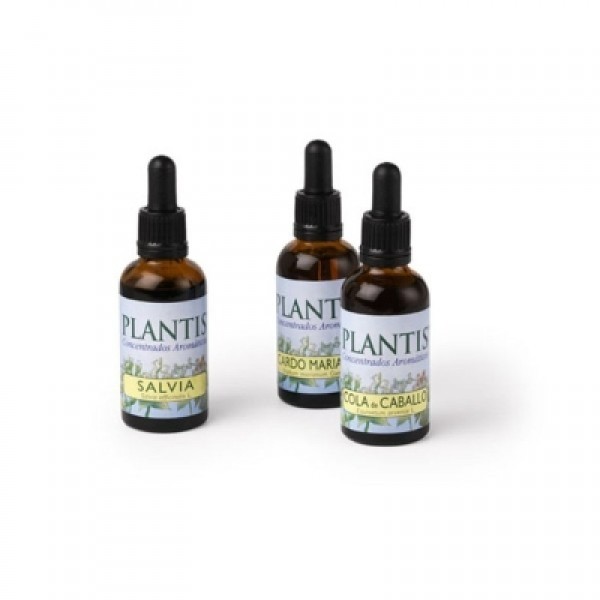 Extracto Ginkgo 50ml